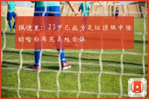 佩德里：23岁已成为足坛顶级中场的哈白布完美结合体