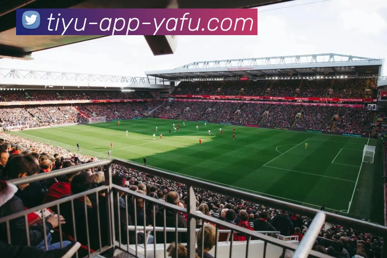 App Interface Preview